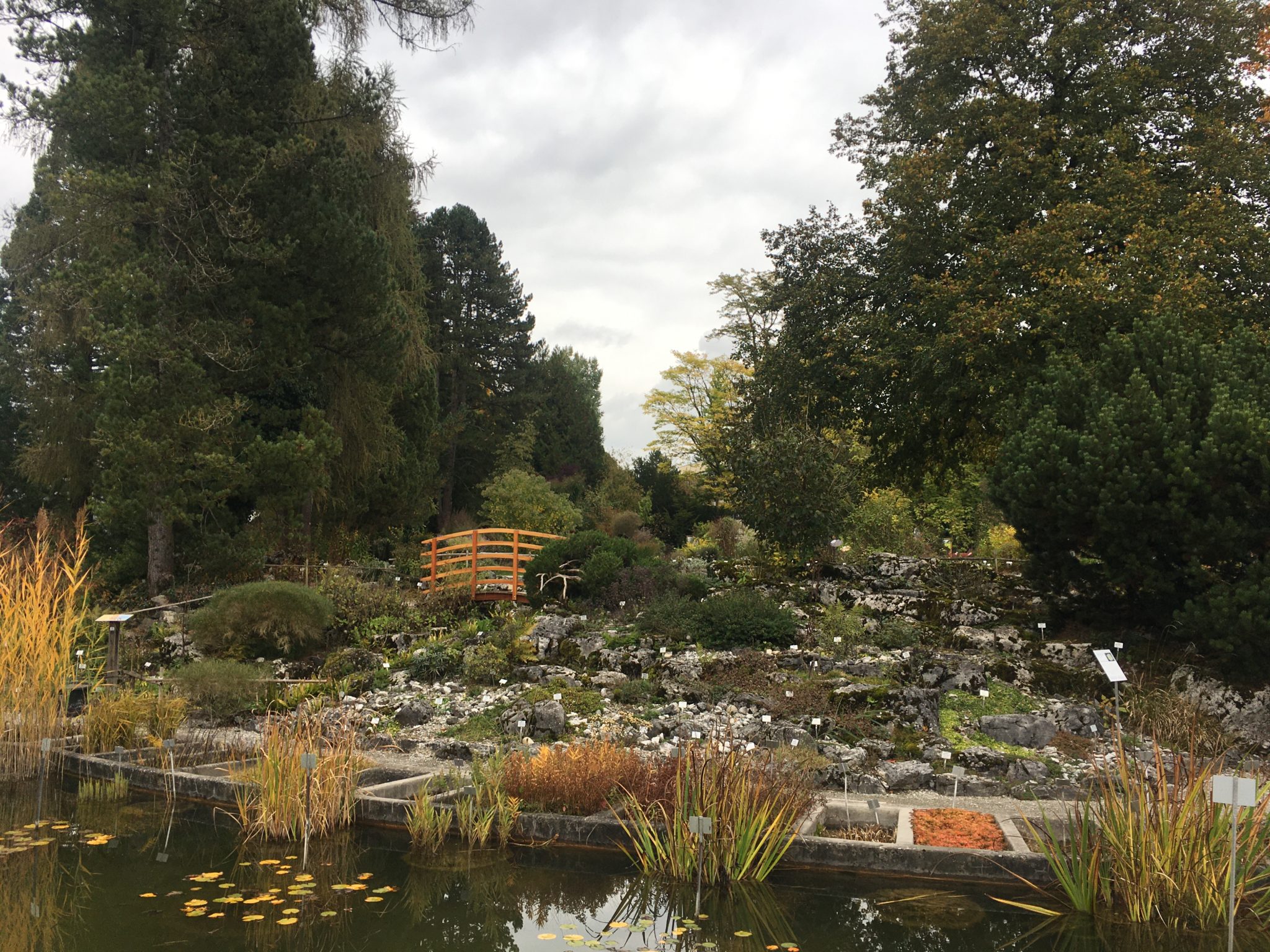 Le jardin botanique de Fribourg  À travers les étoiles  Blog